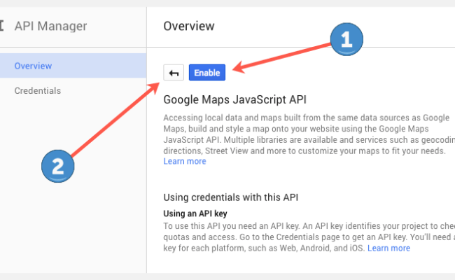 Setting Up Your Google Maps API Key | AppThemes Docs