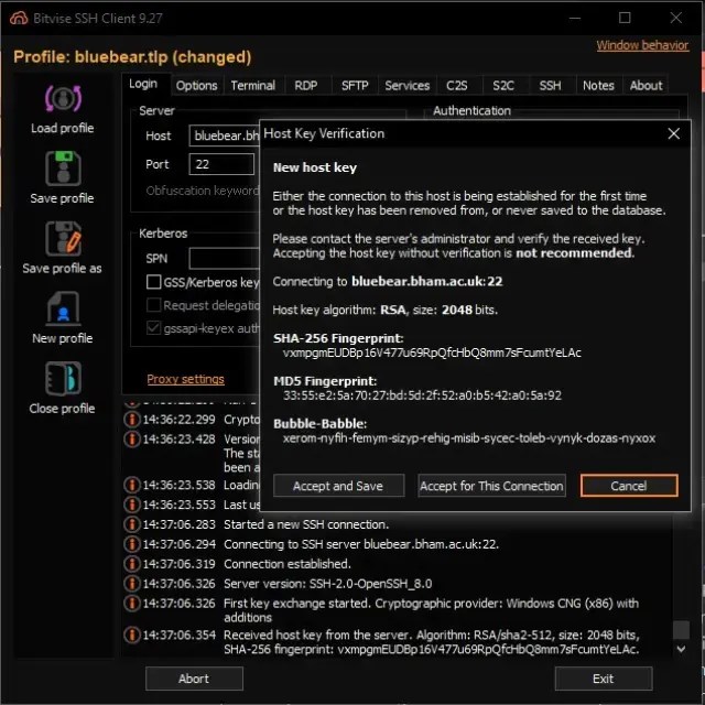 Accessing Bear Technical Docs - Abstract Illustration Collection - Desktop Quality