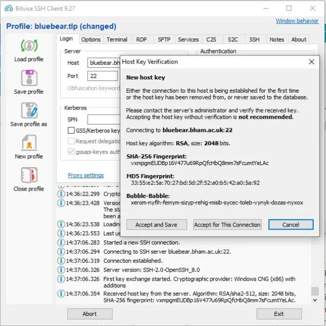 Accessing Bear Technical Docs - Geometric Pattern Collection - 8K Quality