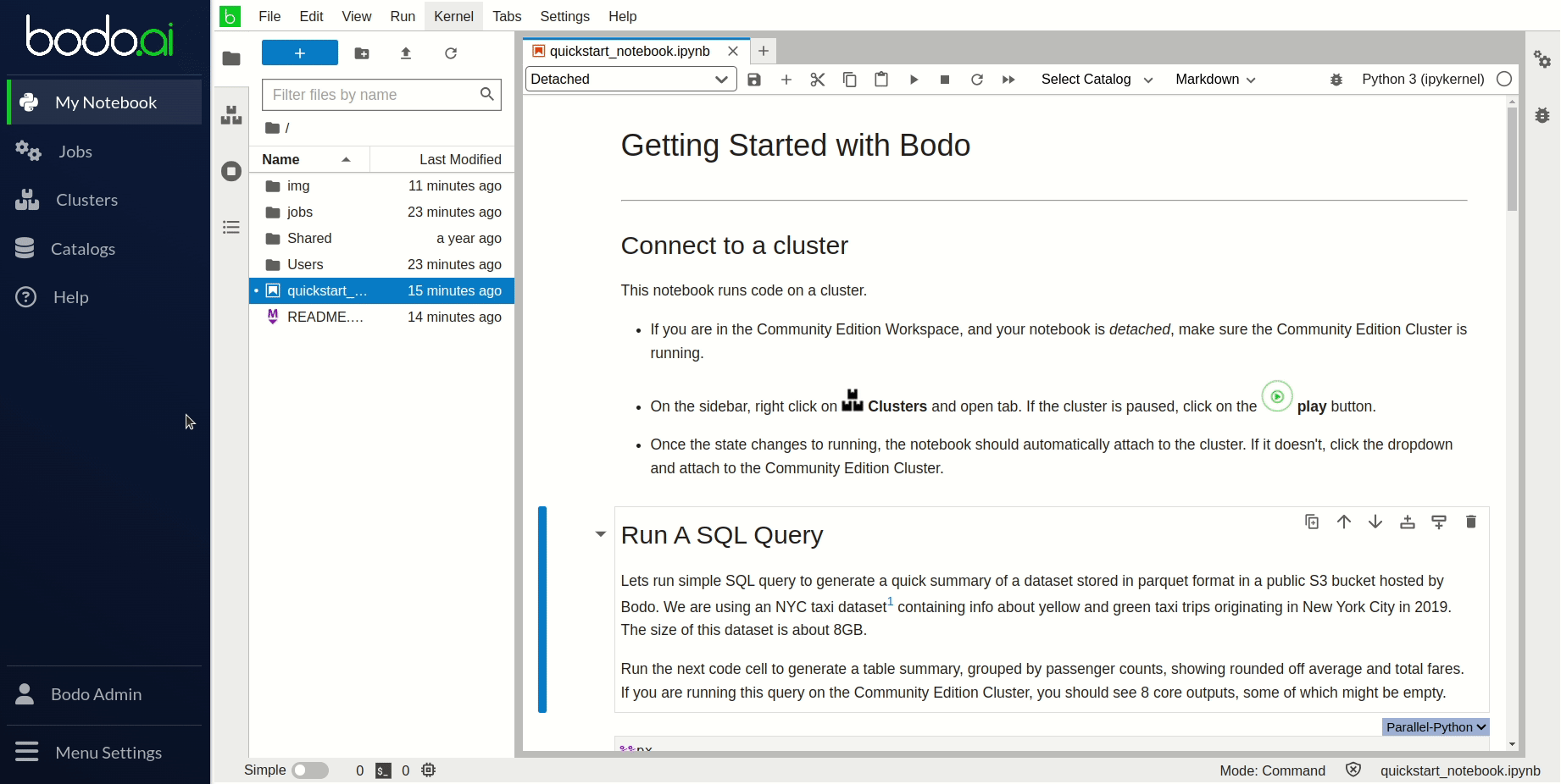 Using Notebooks Bodo Developer Documentation - Best Vintage Photos in Retina