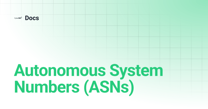 Guide On Autonomous System Numbers Asns - Premium Colorful Illustration Gallery - HD