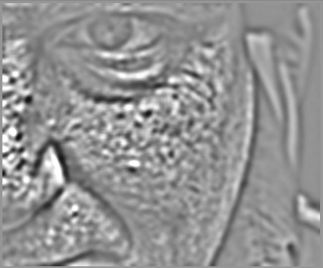 Darktable 4 0 User Manual Wavelets - Perfect Ocean Wallpaper - Retina