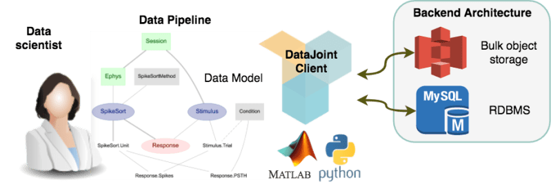 Concepts Datajoint Documentation - Retina Vintage Pictures for Desktop