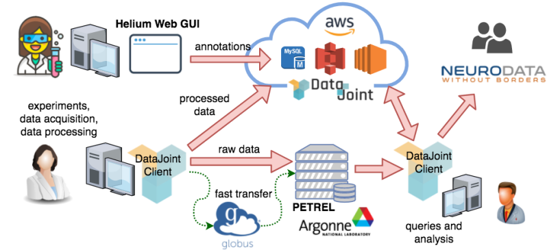 Data Pipelines Datajoint Documentation - Download Stunning Colorful Wallpaper | Ultra HD