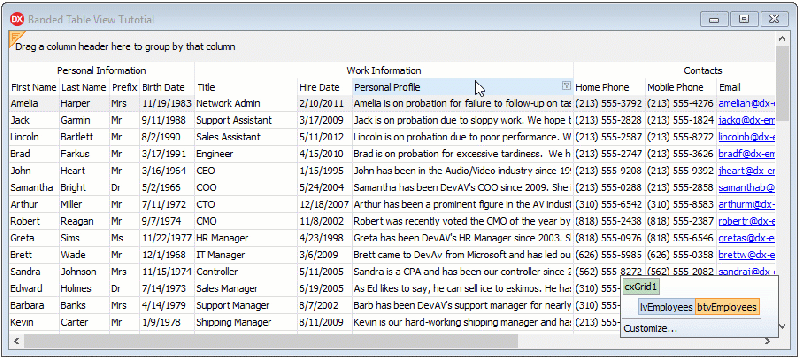 Banded Table View Tutorial Step 3 Adjust Bands Vcl Devexpress - Geometric Image Collection - 8K Quality