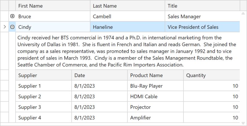 Master Detail Data Representation Wpf Controls Devexpress Documentation - Mobile City Patterns for Desktop