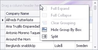 Github Devexpress Examples Winforms Grid Split Presentation Split - Best Abstract Arts in High Resolution
