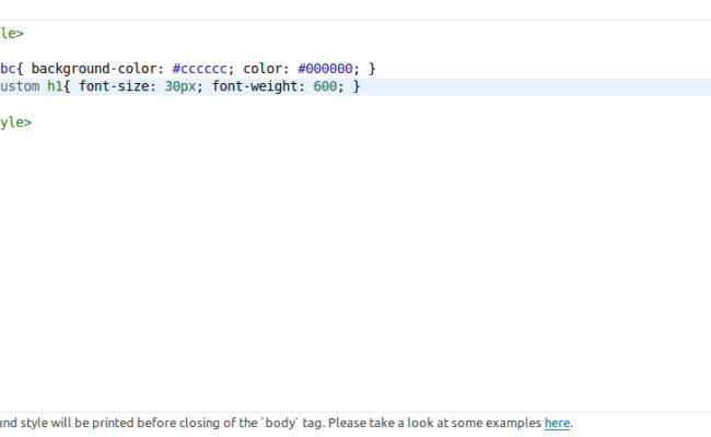 Custom CSS And JS WPOS PRO - Documentation - Essential Plugin
