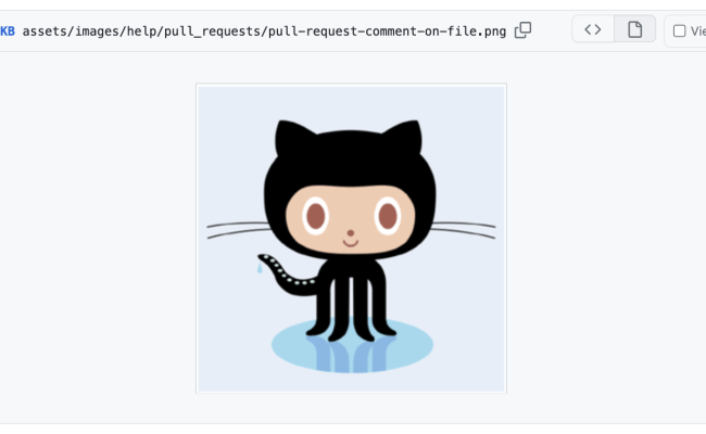 Commenting On A Pull Request - GitHub Docs