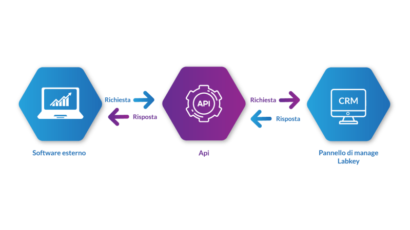 Github Labkey Labkey Api R Labkey Api Wrapper For R - Premium Minimal Photo Gallery - 8K