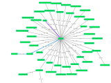 Network Map Librenms Docs