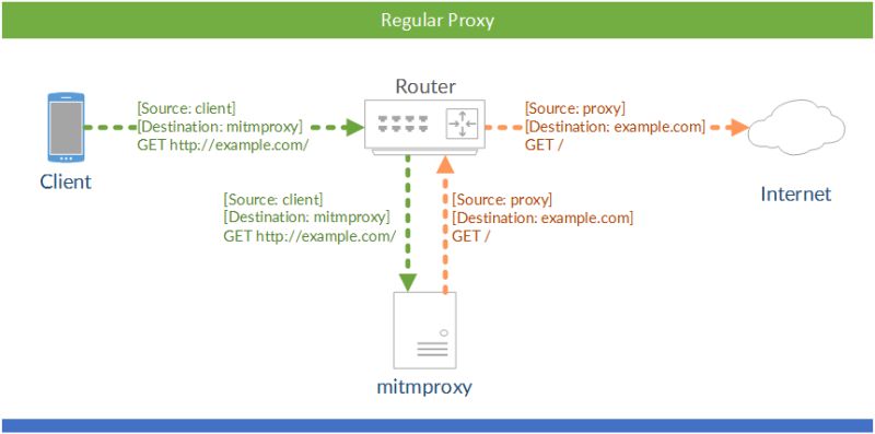 Grpc Vibbit S Blog - Download Creative Colorful Design | 8K