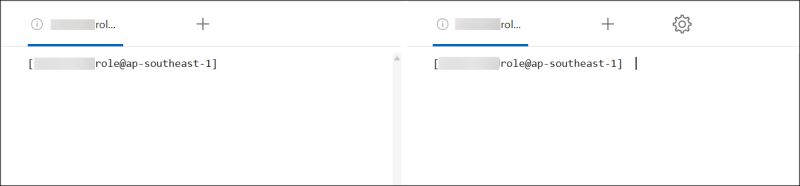 Use Cloudshell In Netapp Workload Factory - Best Vintage Photos in Desktop