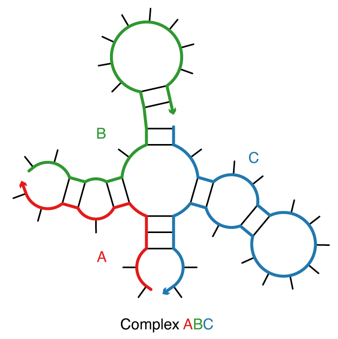 Definitions Nupack 4 0 User Guide - Abstract Textures - Incredible 8K Collection