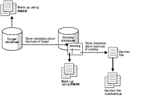 Back Up A Thousand Databases Using Enterprise Manager Cloud Control 12c Connected to target database.