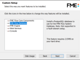 Install The Fme Flow Database