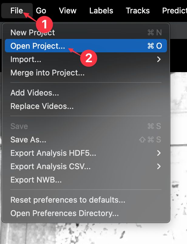 6 Tracking New Data Sleap Tutorial - Best Abstract Backgrounds in 8K