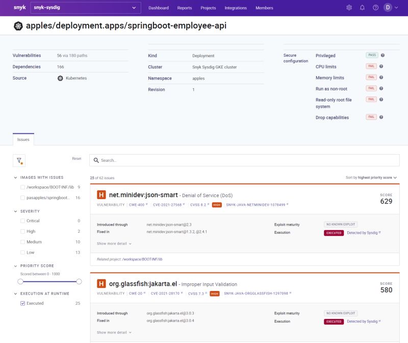 Snyk Sysdig - Premium Landscape Design Gallery - 8K