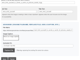 Adding Inline Images Openscholar Documentation