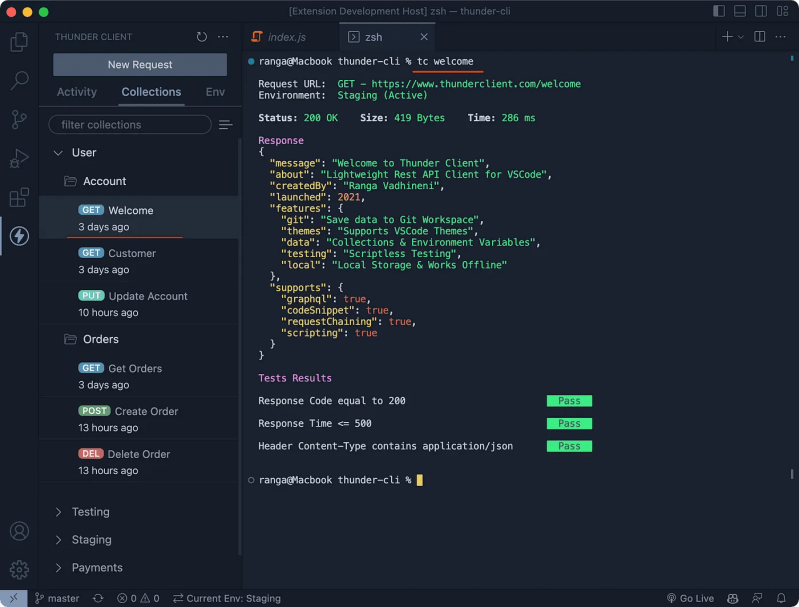 Thunder Client Guide The Ultimate Guide To Mastering Thunder Client Cli - Full HD Landscape Illustrations for Desktop