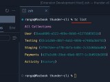 List Command Thunder Client Docs