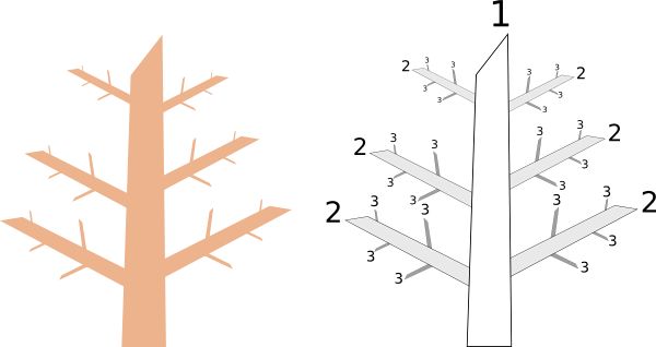 Unity Manual Design A Tree - Best Space Pictures in Full HD