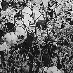 522014-md_522014_4418