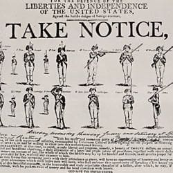 535913-md_535913_956