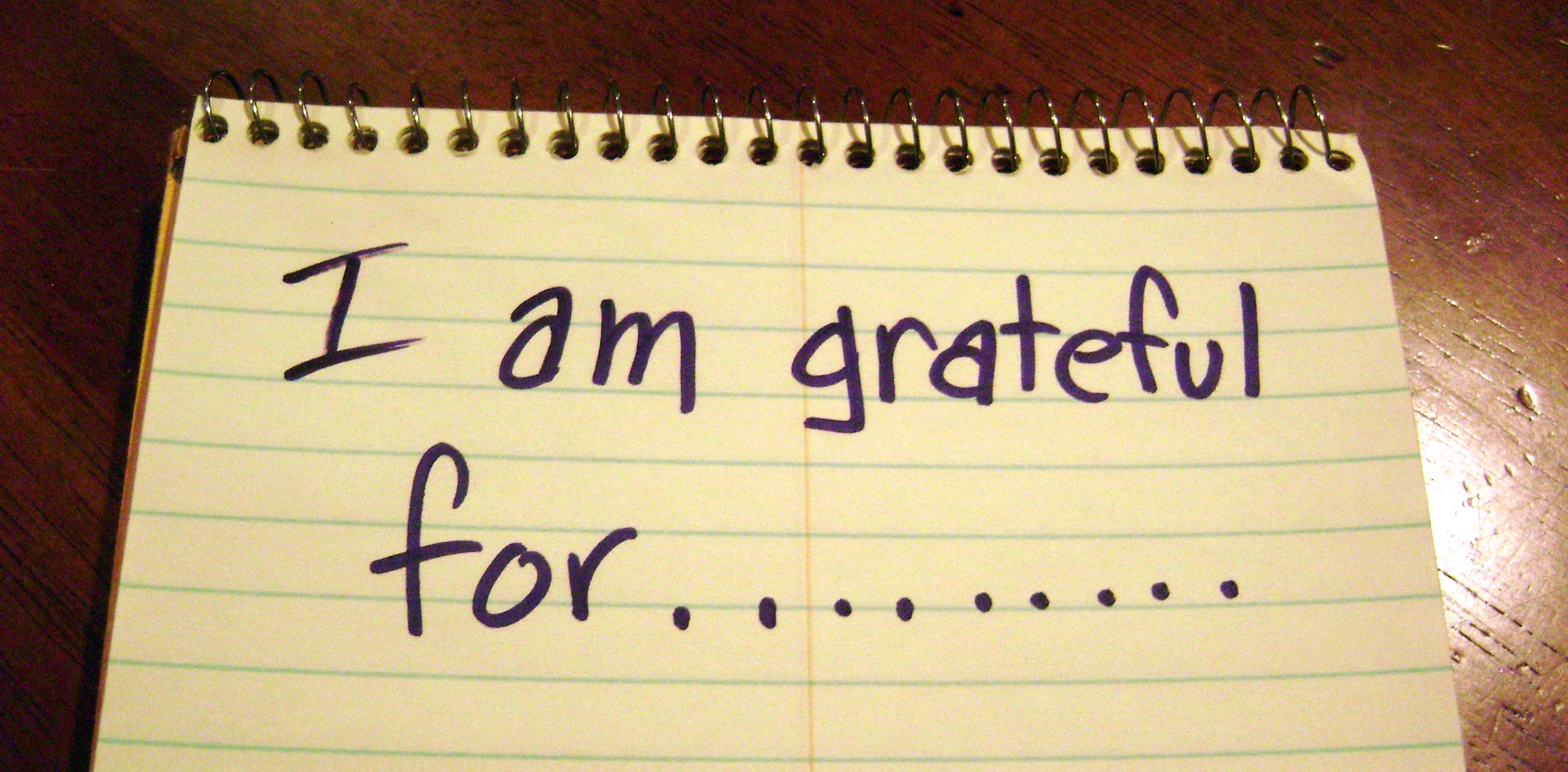 Image result for gratitude images