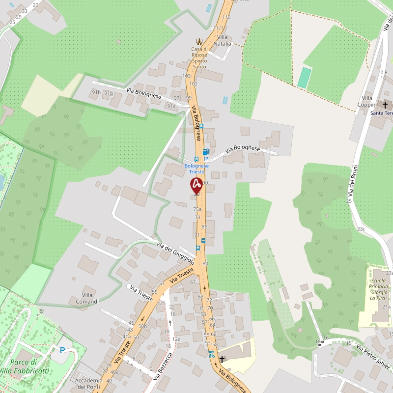 Via Lungo L’affrico 156/A, 50137 Firenze FI