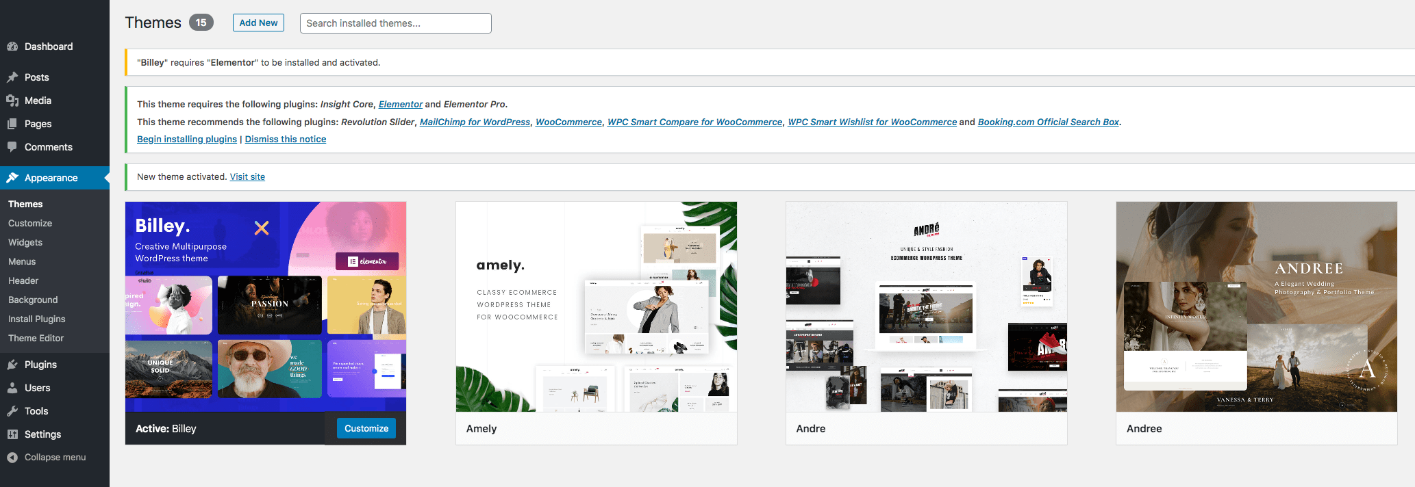 Sometimes you might not able to install the astra theme via the wordpress dashboard. Theme Installation - Billey Documentation