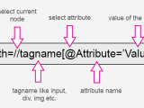 Xpath Introduction