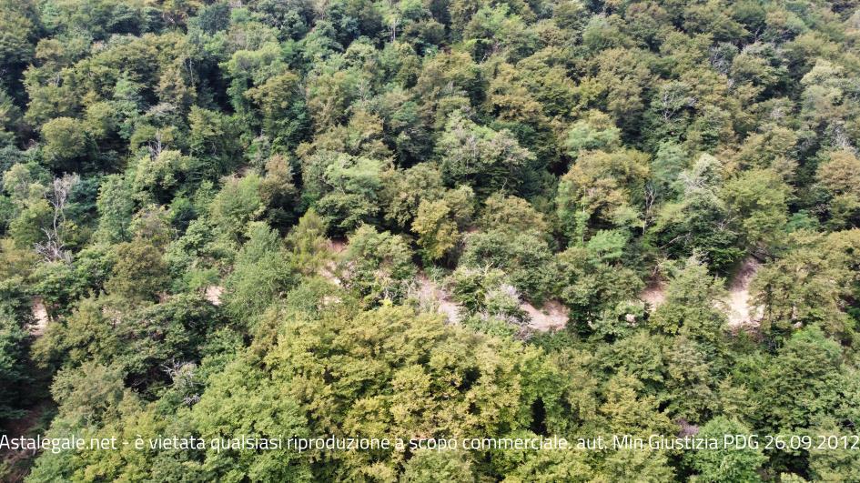 Asta giudiziaria Terreno 22010 Brienno CO Italia, 22010 Brienno CO