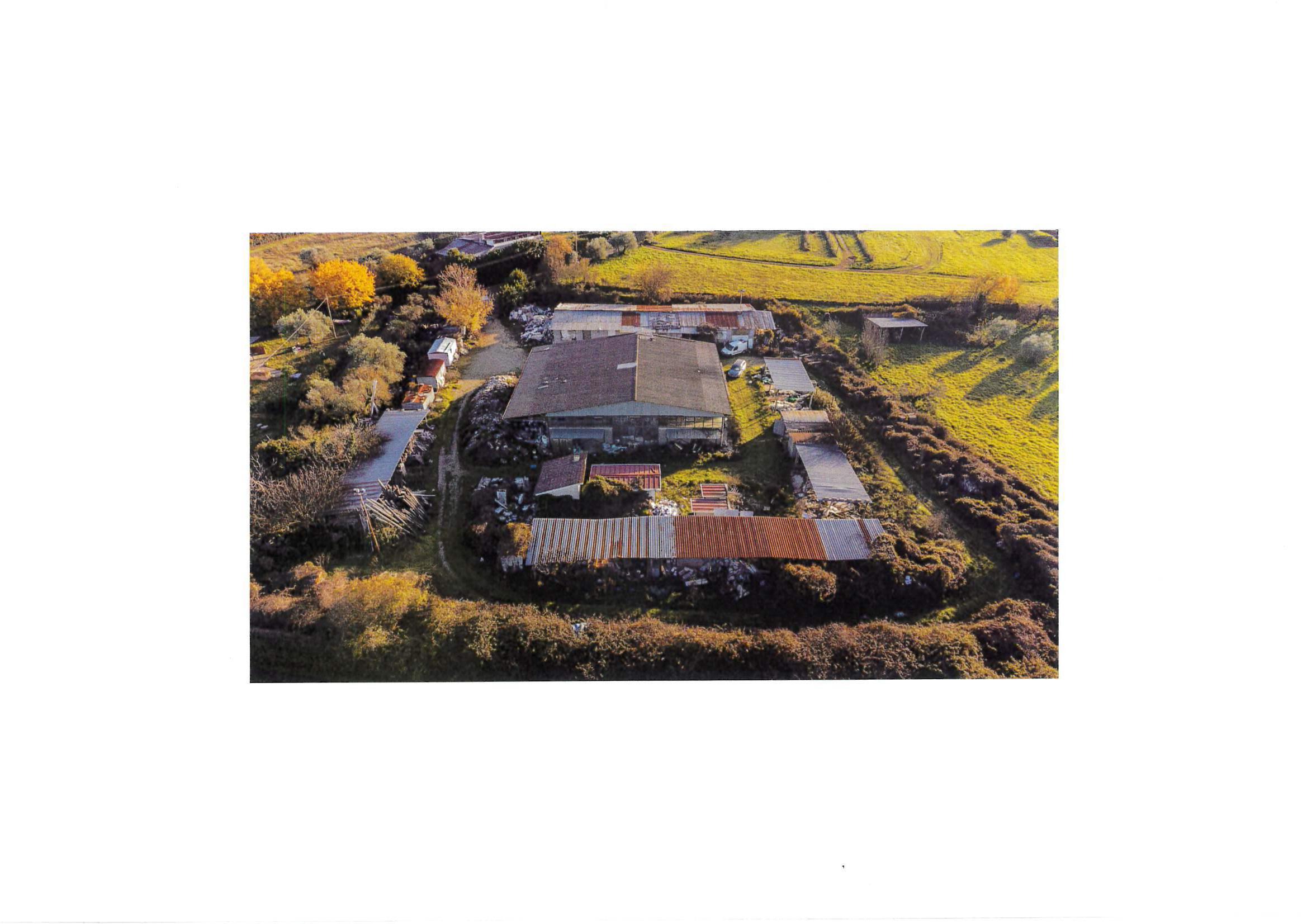 Asta giudiziaria Laboratorio artigiano Strada dei galli, snc 01100 Viterbo VT