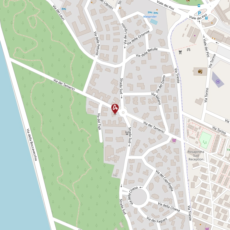 Asta giudiziaria Abitazione di tipo civile Localita’ Rosolina Mare Via delle Tamerici, 32 45010 Rosolina RO