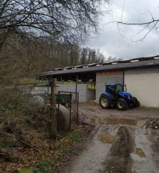 Asta giudiziaria Fabbricato Via per Sillico 55036 Pieve Fosciana LU Italia, 55036 Pieve Fosciana LU