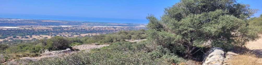 Asta giudiziaria Terreno Contrada Pulce, s.n. Ragusa RG