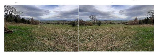 Asta giudiziaria Terreno Terreno, Falerone FM