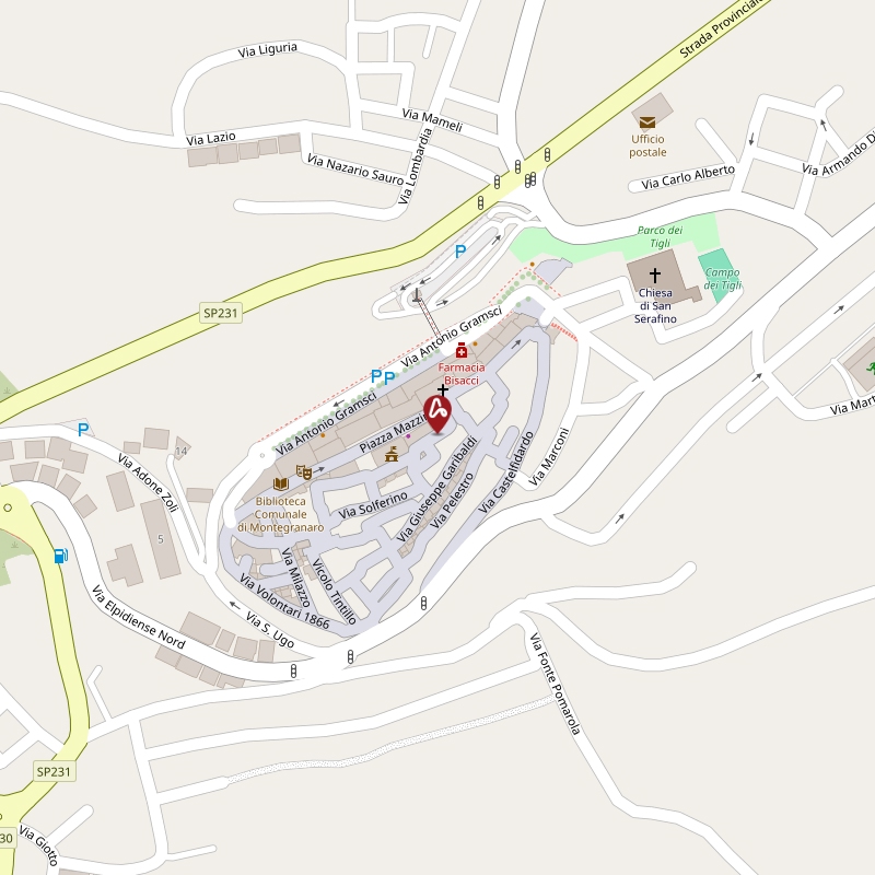 Asta giudiziaria Abitazione di tipo civile V. Enzo Bassi 33 63812 Montegranaro FM Italia, 63812 Montegranaro FM