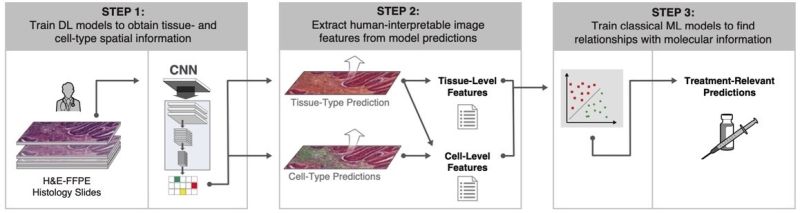 Pdf Rethinking Machine Learning Model Evaluation In Pathology - Ocean Pictures - Ultra HD 4K Collection