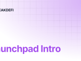 Launchpad Intro Peakdefi
