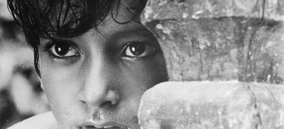 La Trilogía de Apu de Satyajit Ray – Dodecá