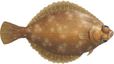 Dab animal crossing new horizons price