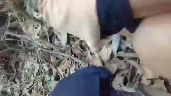 Abg Smp Pramuka Dibawa Kehutan Lalu Diewe