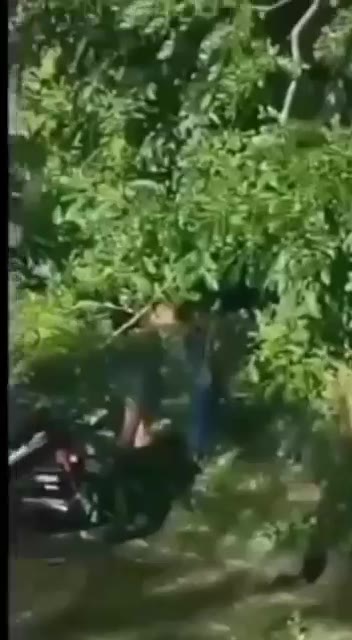 Ajak Pacar Pakai Motor Ke Hutan Ternyata Ngentot