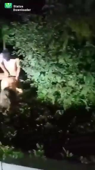 Cowok Gada Modal Ketauan Ngewe Di Taman