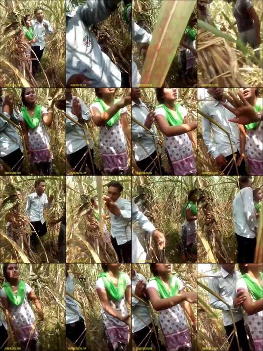 Ketahuan Di Ladang Jagung Ceweknya Bakal Dipakai Rame Rame