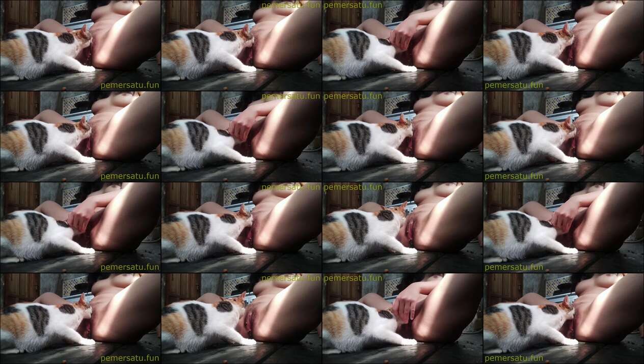 Abg 18Yo Memek Dijilmek Kucing Kesayangan