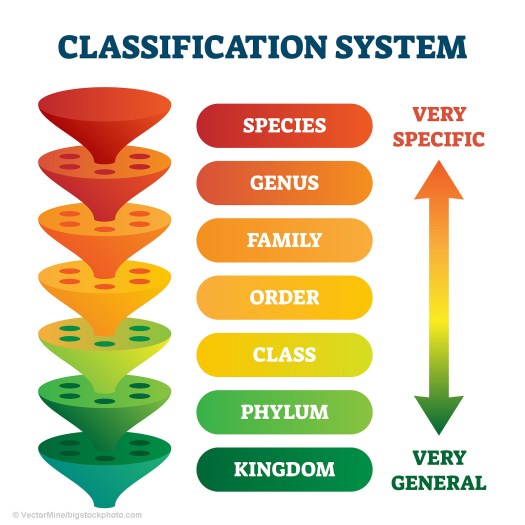 Taxonomic Ranking of Living Things