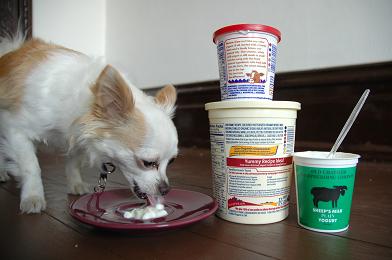 Dogaware Com Adding Fresh Foods To Commercial Dog Food
